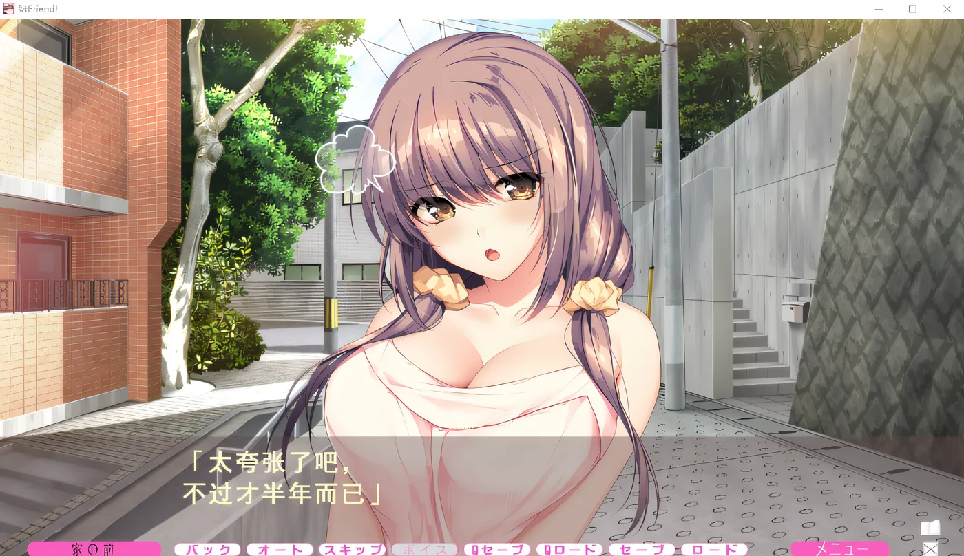 T12725 妹Friend！Claude3.5汉化版 [新作/5.4G]